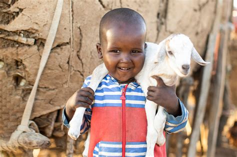 buy goats for charity|Donate a Goat and 2 Chickens .